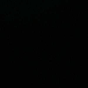 Meet your Posher, Bill